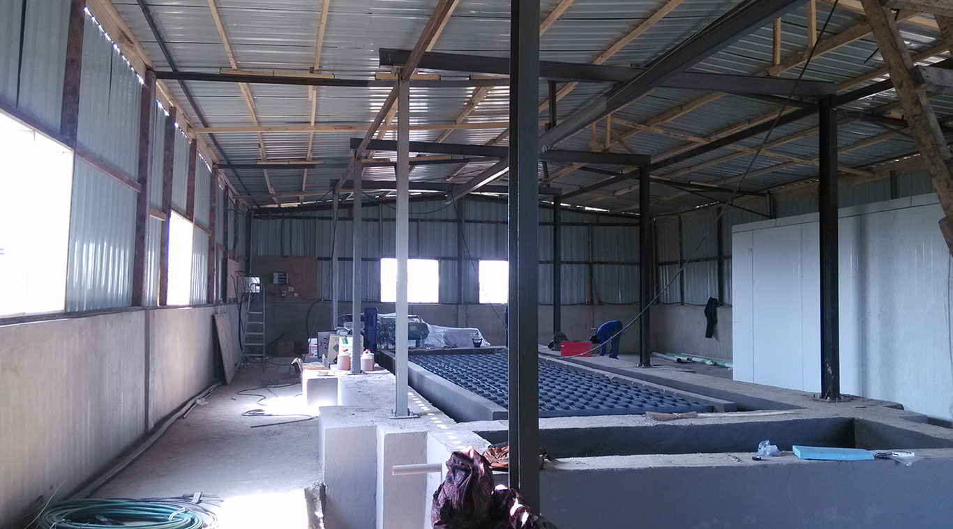 Focusun 20T brine block ice machine