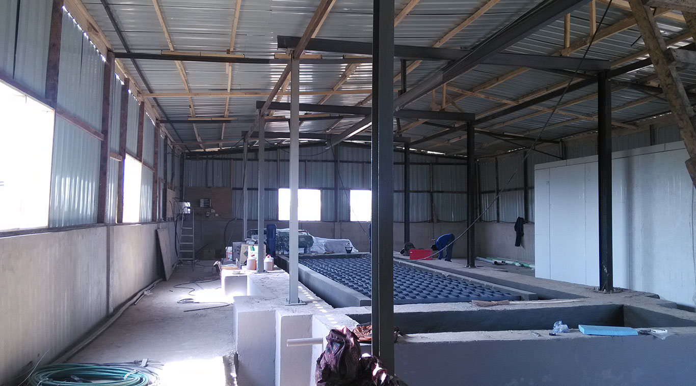 Focusun 30T brine block ice machine