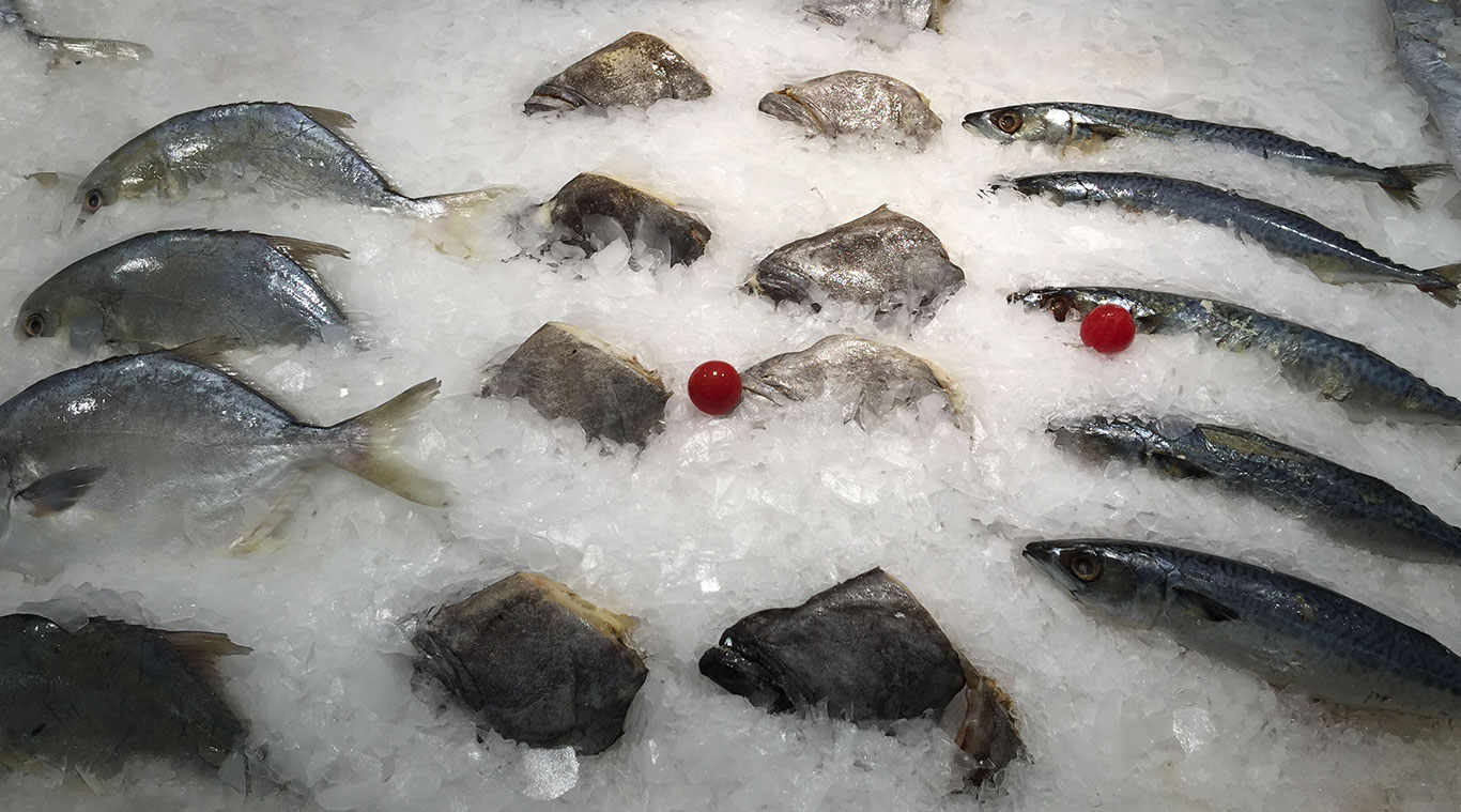 Focusun 0.5T marine seawater flake ice machine