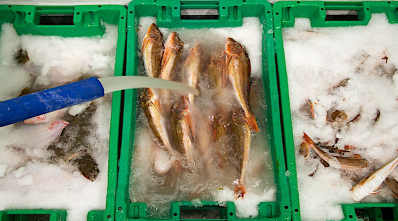 Focusun 10T slurry ice machine