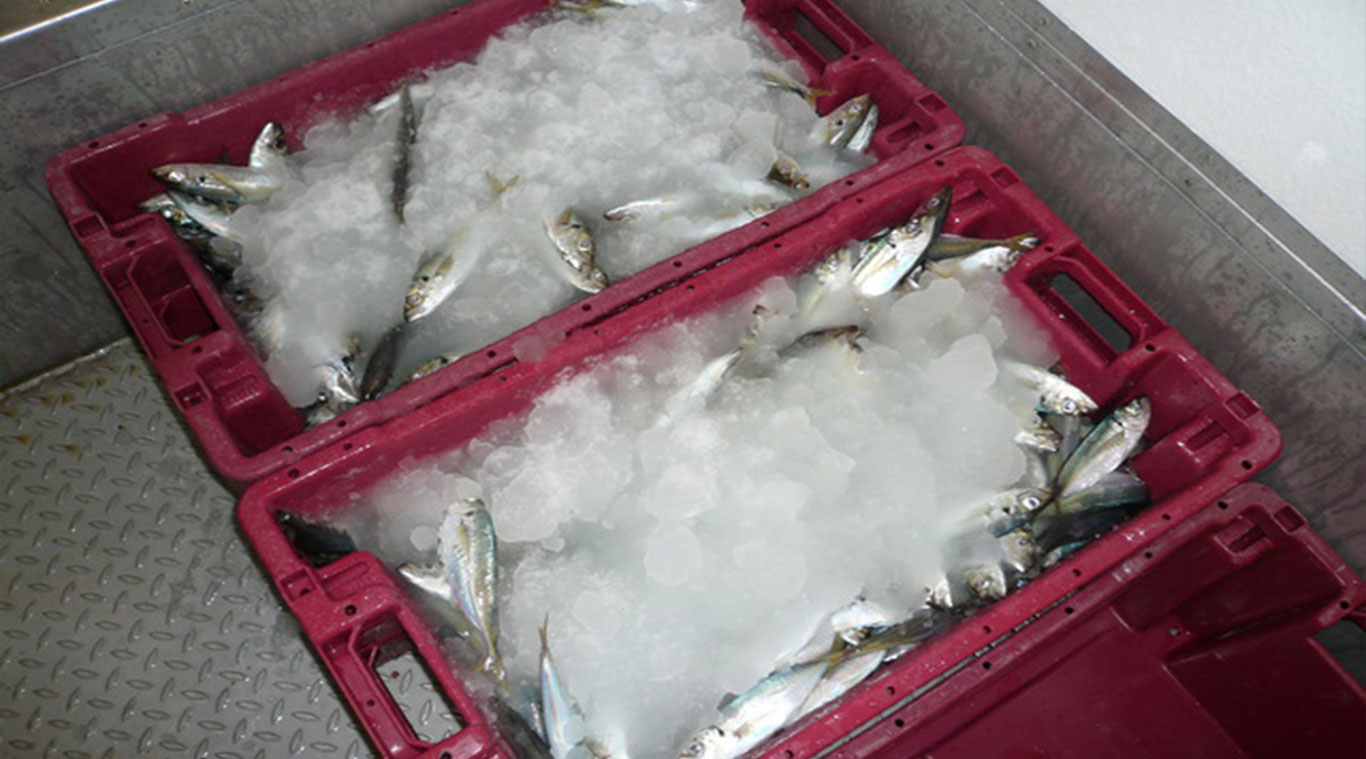 Focusun 20T slurry ice machine