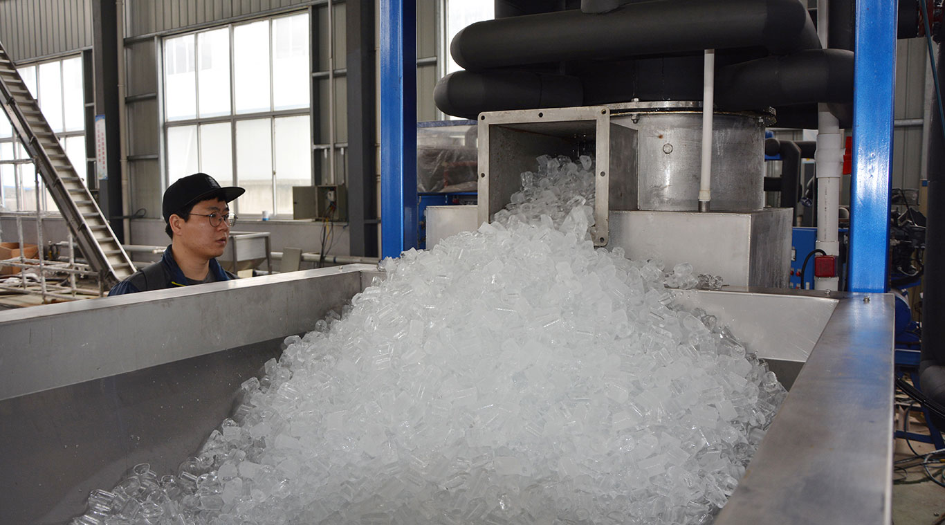 Focusun 10T tube ice machine
