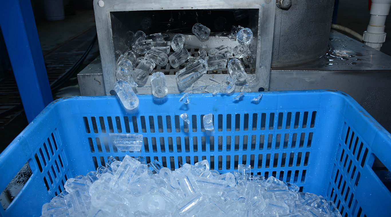 Focusun 5T tube ice machine