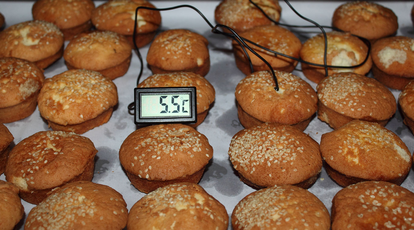 Vacuum cooler for ready food