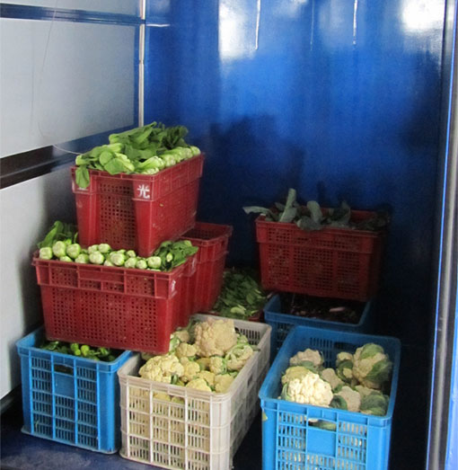 Vacuum cooler for vegetables&fruits